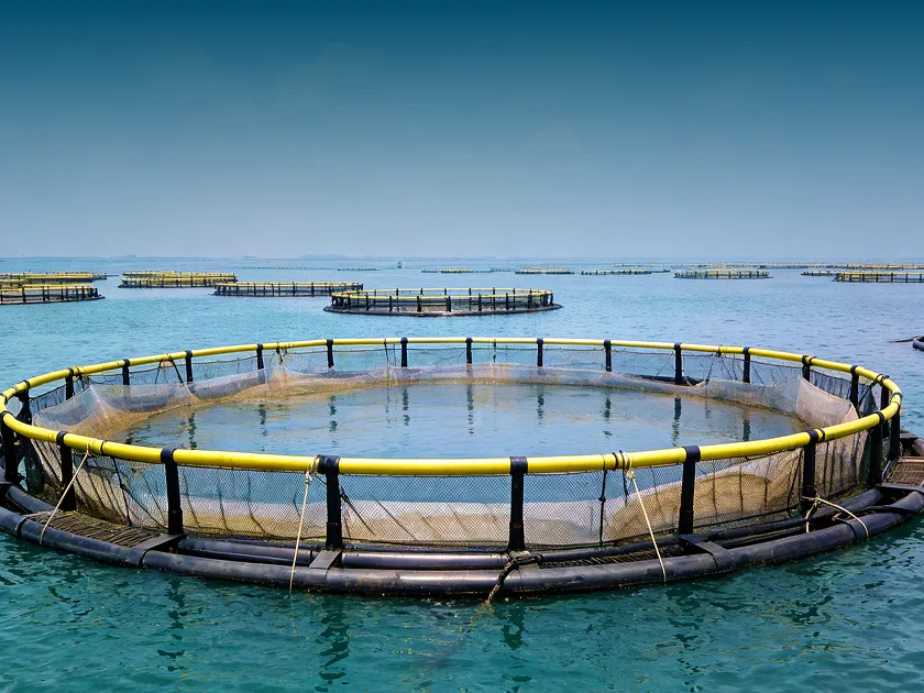 Offshore aquaculture deployment in Sanya, Hainan