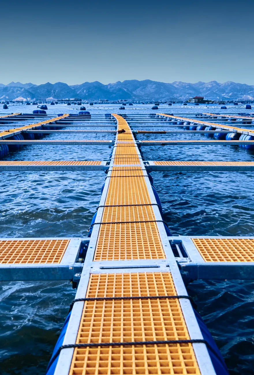 Intelligent aquaculture project in Xiapu, Fujian