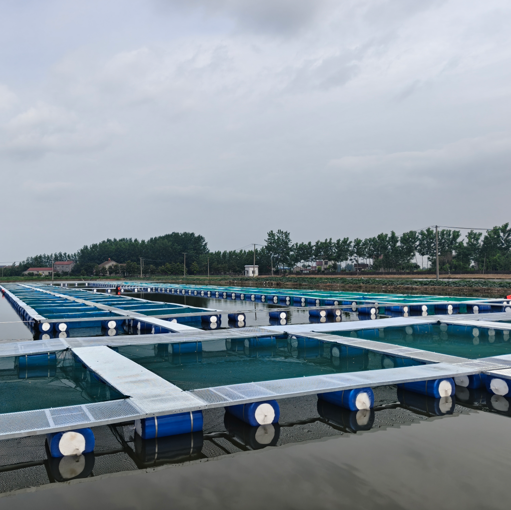 Hubei Jingzhou